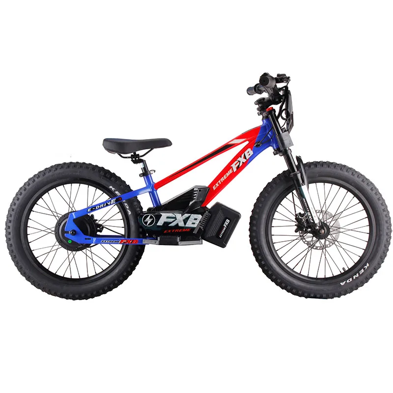 

2025 FXB Children's Balance Bike 20 Inch Balanced Electric Dirt Bike