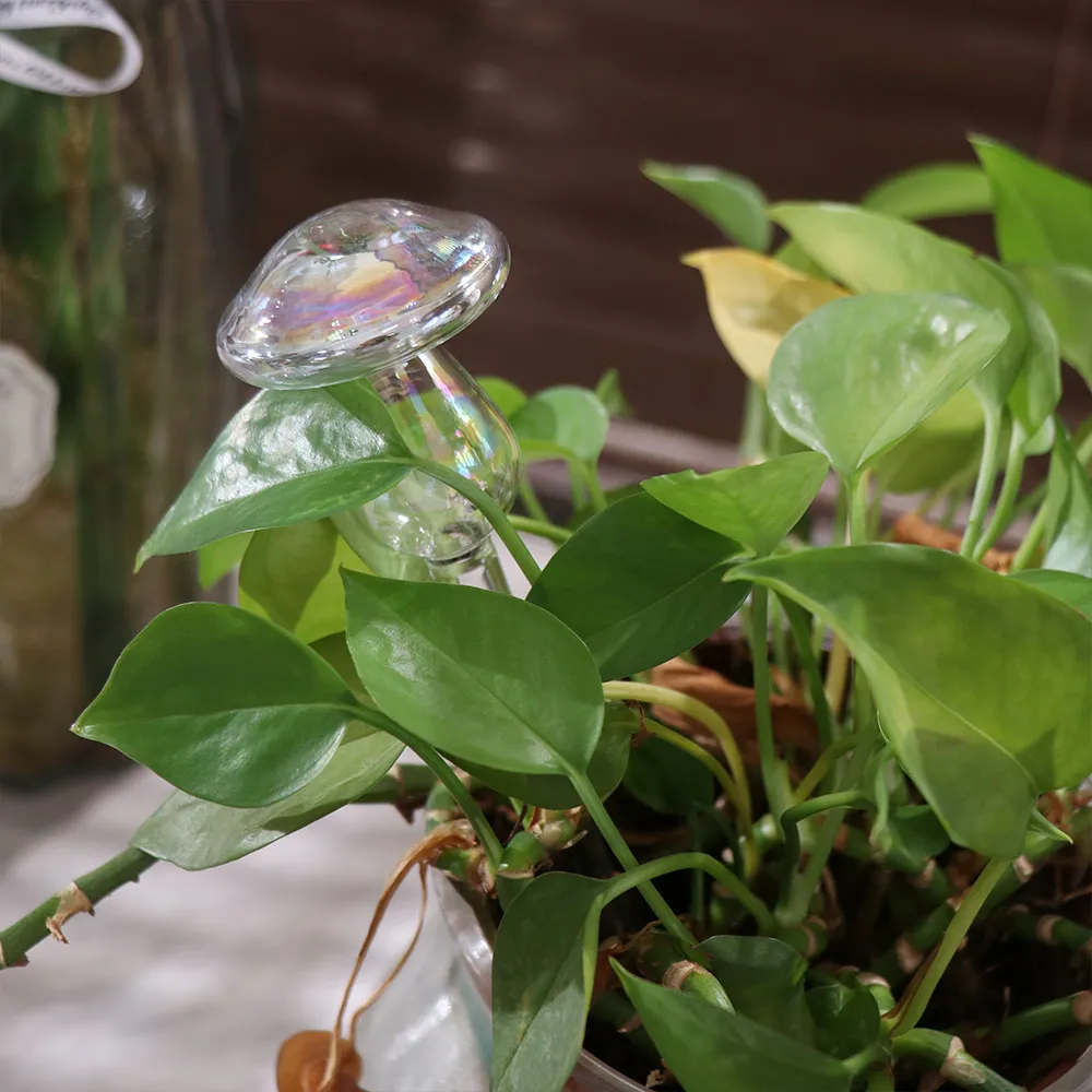 Mushroom Shape Plant Watering Glass Globes Self Watering Rainbow Mushroom Automatic Watering Device Glass