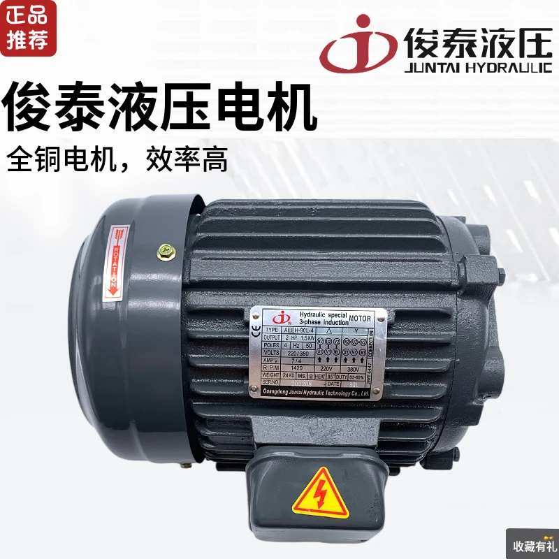 Juntai AEEH Hydraulic Station Oil Pump Inner Shaft Motor 1 2 3 5HP 0.75 1.5 2.2 3.75 5.5KW