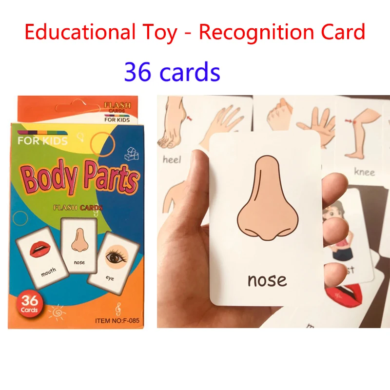 Montessori Kids English Words Learning Flashcards Early Educational Cards Classroom Supplies Kindergarten Teacher Teaching Aids