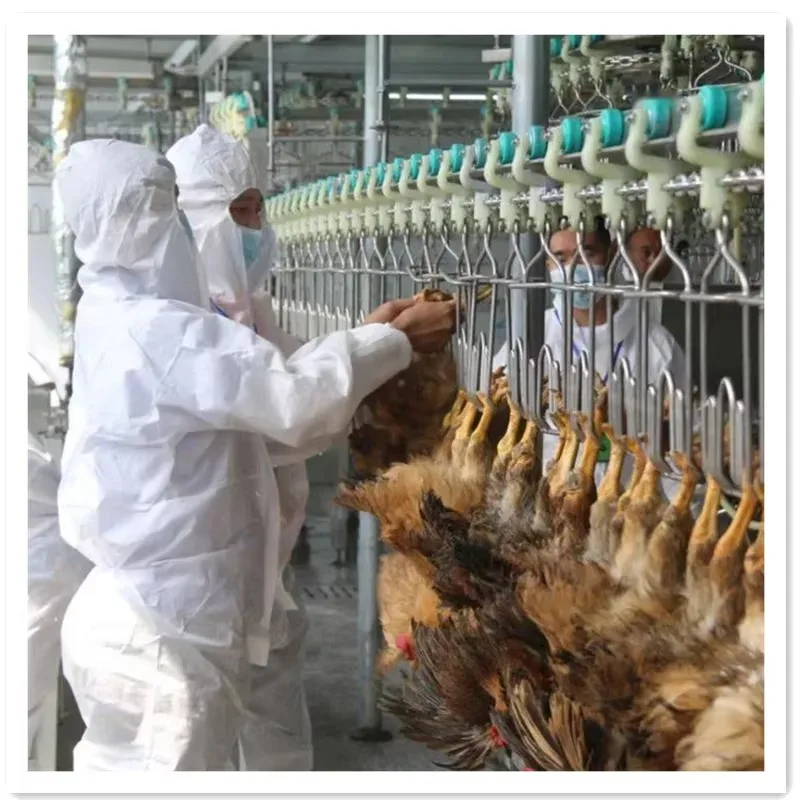 Halal 200-3500bph Muslim Slaughterhouse Turkey Slaughter Processing Line Equipment