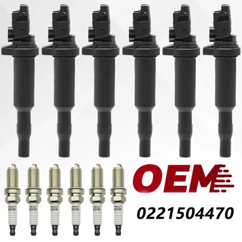 12138616153 12137594596 0221504470 Ignition Coil For BMW E60 E61 F10 F18 F11 E39 F07 520I 523I 525I X3 X5 Z4