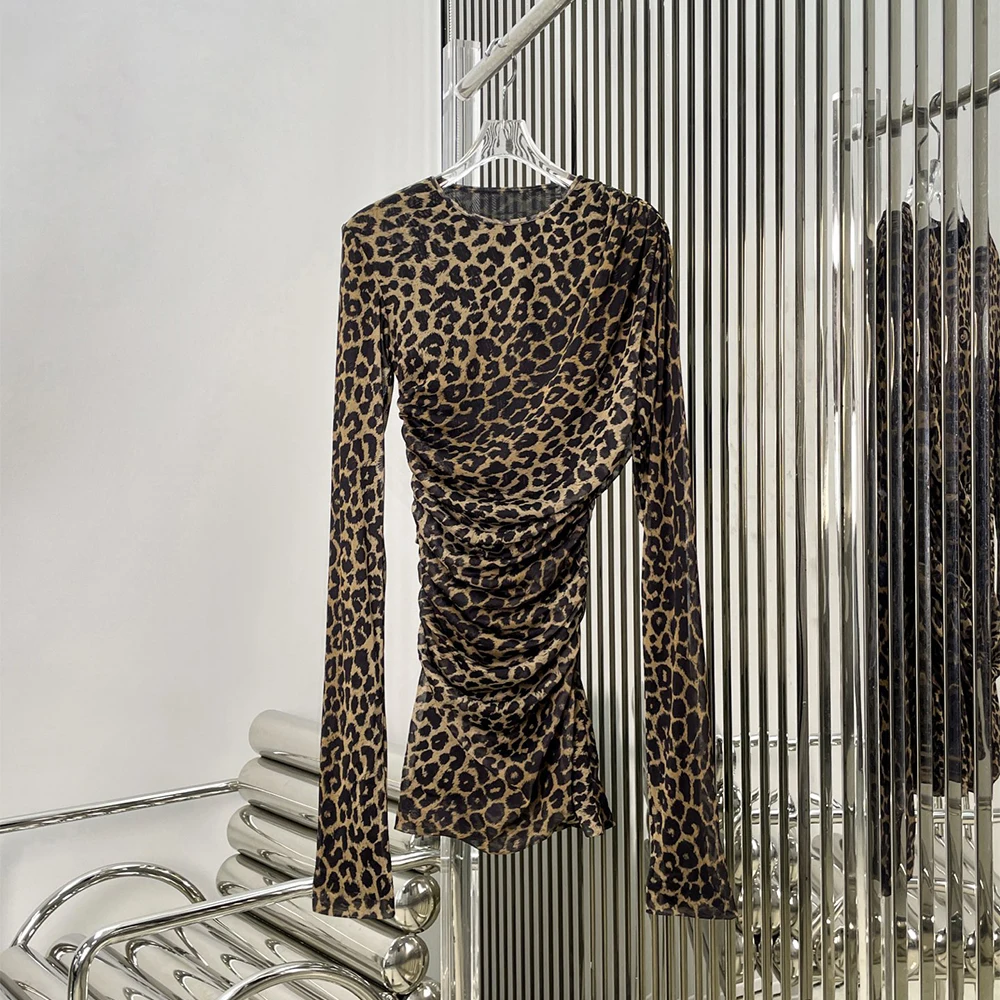 

Leopard Print Women's Dress, Elegant Commuter Style Round Neck Long Sleeve Mesh Dress 2025 Fall/Winter New Arrival Y2K