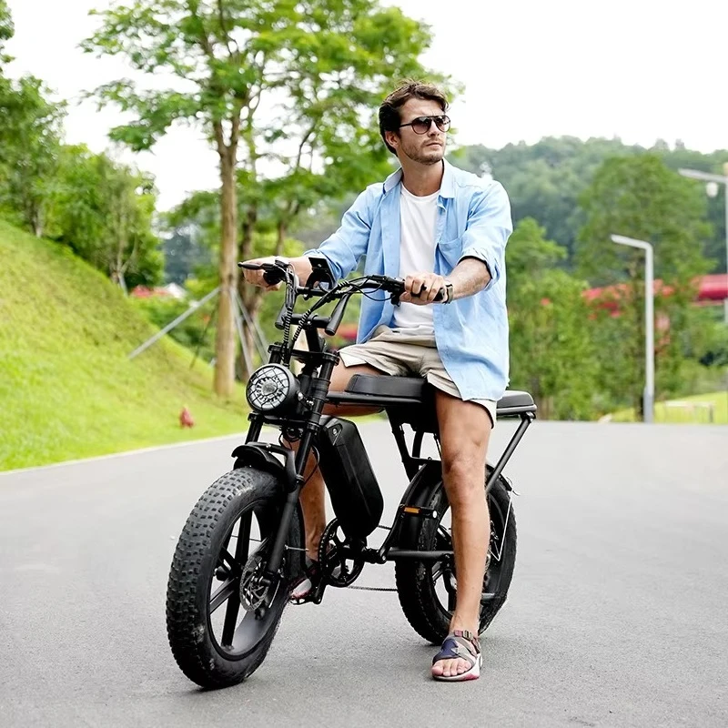 Bici ibrida elettrica 48v Bicicletta elettrica V8 Fatbike Stock UE Pronto per la spedizione Ebike 1000W 15Ah