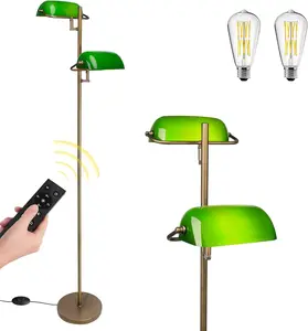 Dimmable LED Floor Lamp with Remote & Foot Switch, Adjustable Color Temperature for Living Room Bedroom Office