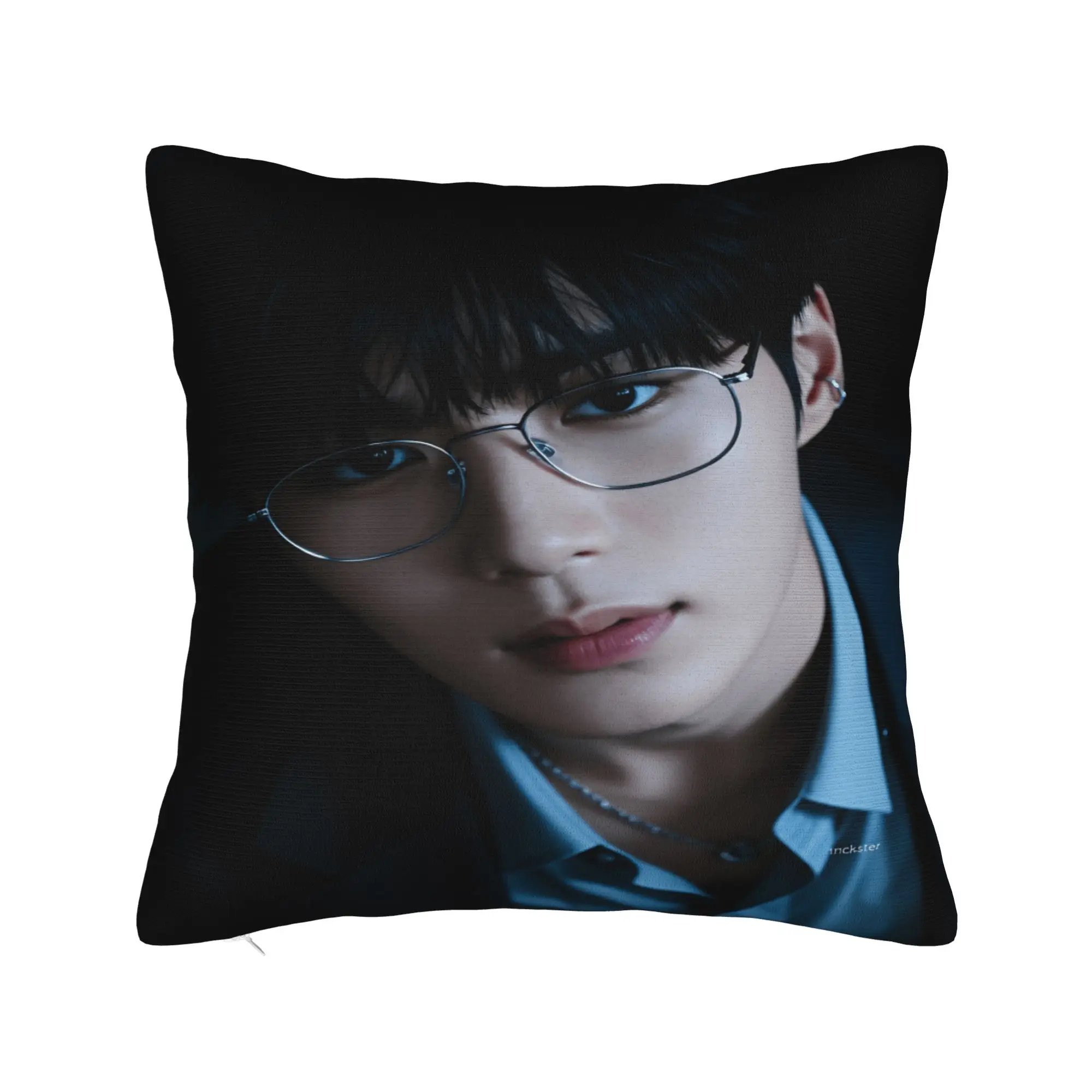 ALD1 A-ALPHA DRIVE ONE Pillow Case  Comfy Pillow Cover Vintage Pillowcases For Chair Sofa Home Decor