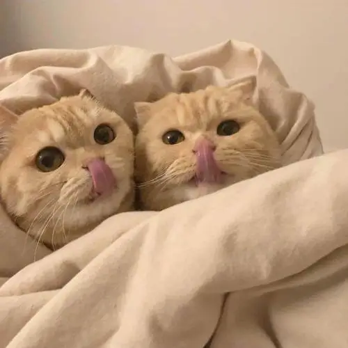 Suporte de transmissão para caixa de velocidades, chassi de metal, placa antiderrapante para 1/10 rc crawler axial scx10, peças de atualização de liga de alumínio