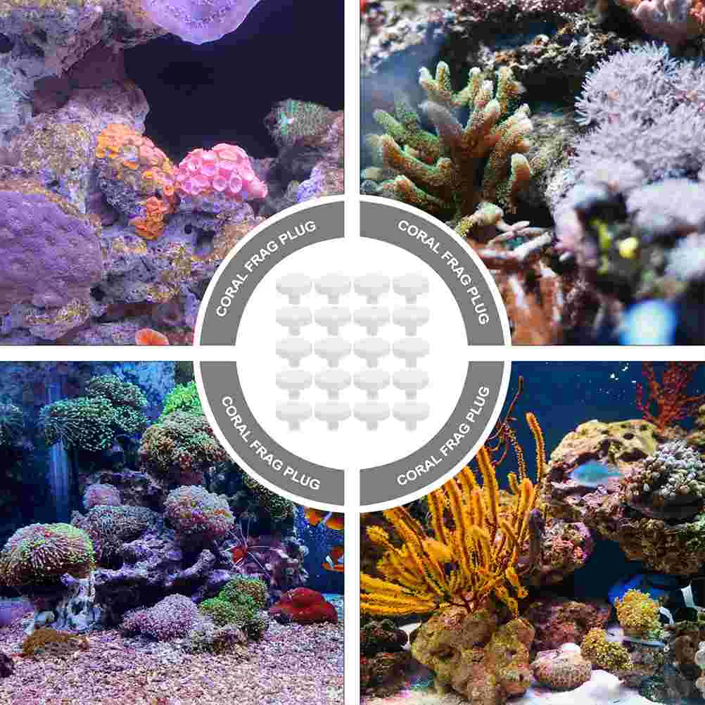 20 Pcs Fish Tank Coral Base Decoration Nurture Supplies Frag Plug Reproduction Ceramics Aquarium Support