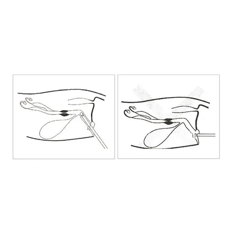 NEW Dog Ovulation Detector Tester - Automatic Pregnancy Planning Breeder Canine Mating Tool Waterproof with Portable Case