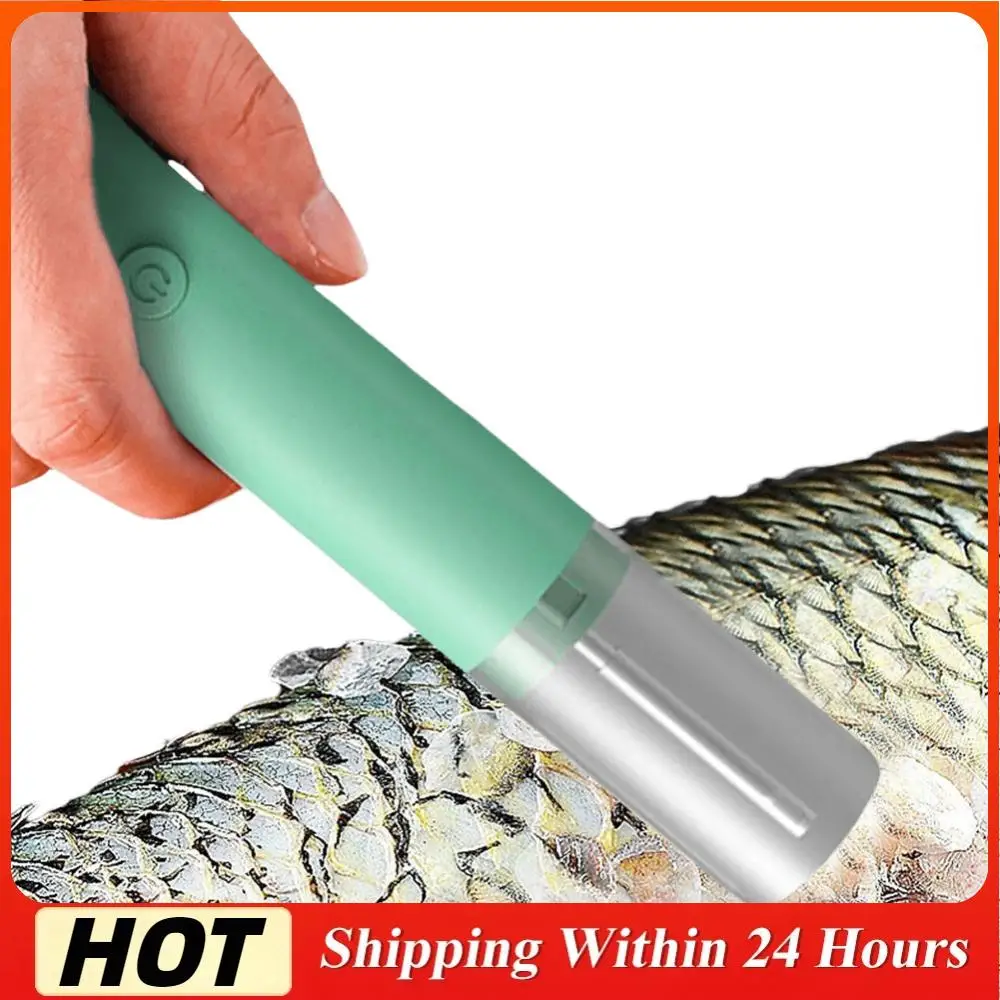 Electric Fish Scale… - image