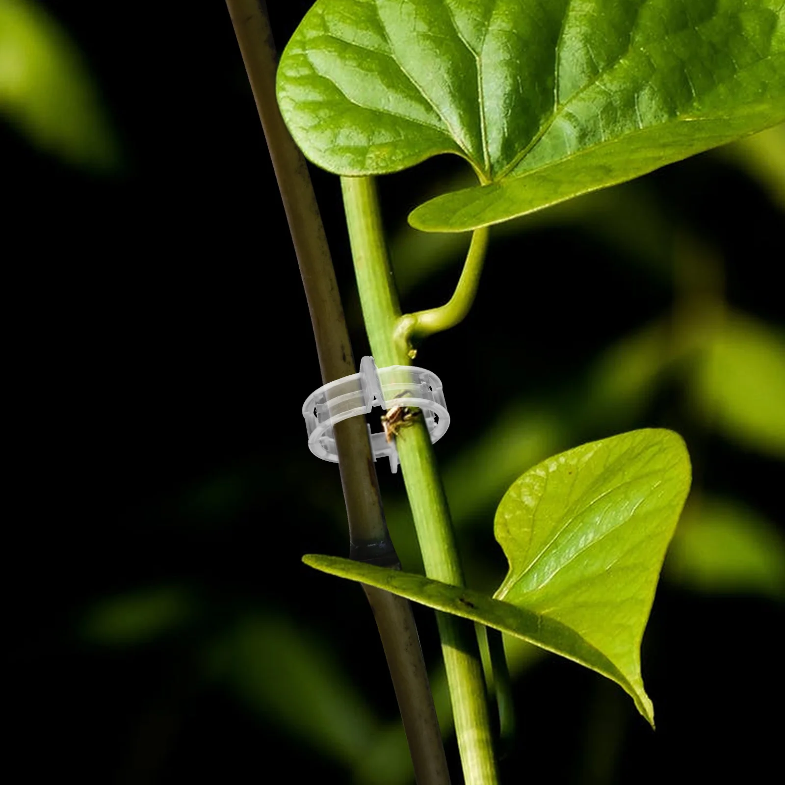 

200Pcs Plant Vine Clips Premium Plastic Grafting Clamps for Climbing Plants Flower Support Garden Tool Outdoor Use