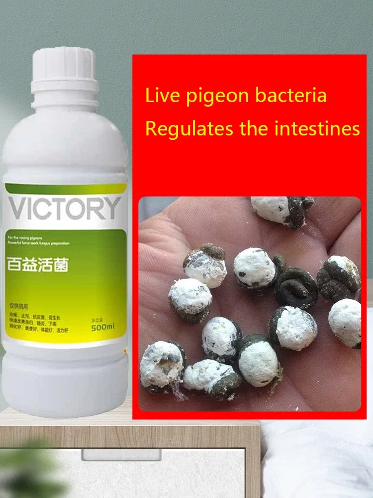 Meat Pigeon Racing Pigeon Homing Pigeon Diarrhea Diarrhea Green Stool Gastrointestinal Probiotics 500ml Help Digestion and Promo