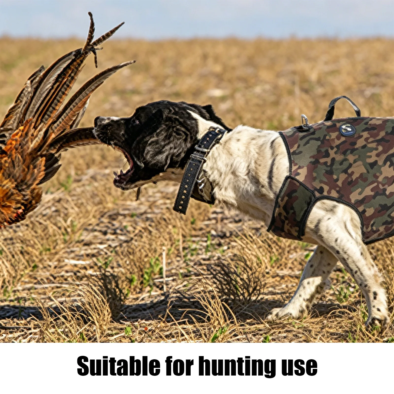 เสื้อผ้าสุนัขลายพรางสำหรับล่าส - Hunting Dog Outdoor บทวิจารณ์และราคา