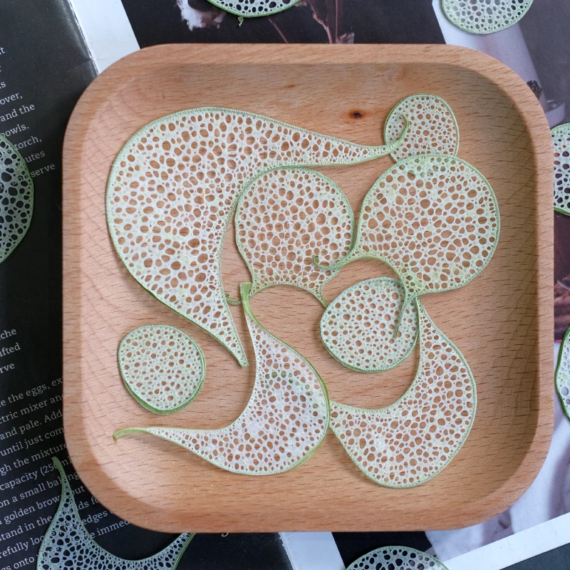 12 Stück, geprägte Luffa-Scheiben, getrocknete Blumenproben für UV/Epoxidharz, Fotorahmenkunst, Grußkarten und Lesezeichen, Bastelmaterialien – Detail 5