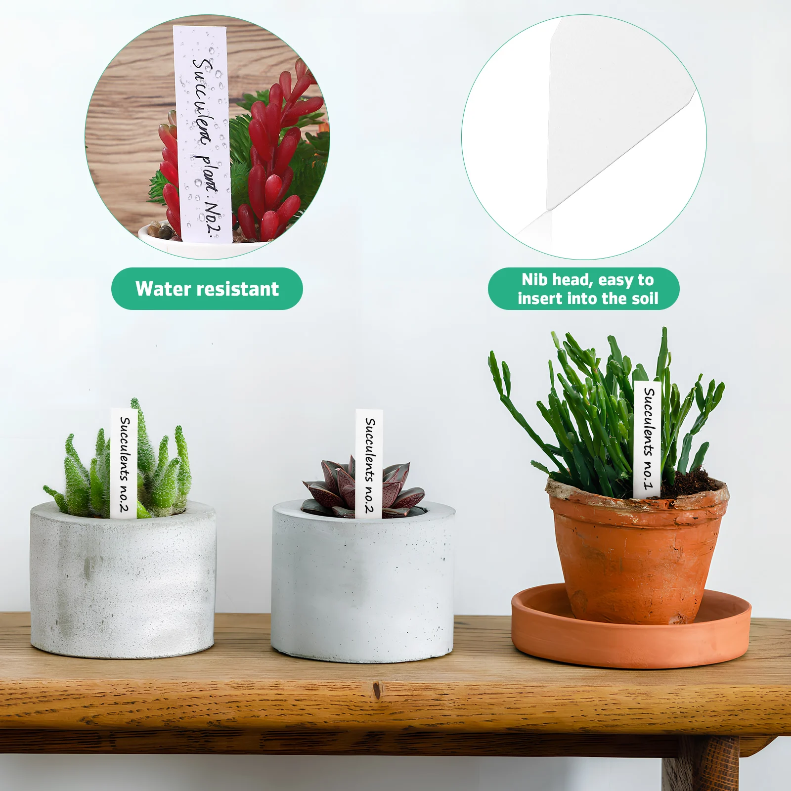 

Plant Label Garden Markers for Plants Outdoor Stakes Flower Pot Tags Row Use with Gardening Pens