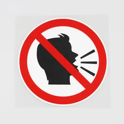 Car Stickers No Loud Noises Are Allowed Here Car Decoration No Noise Waterproof and Sunscreen PVC 12cm*12cm