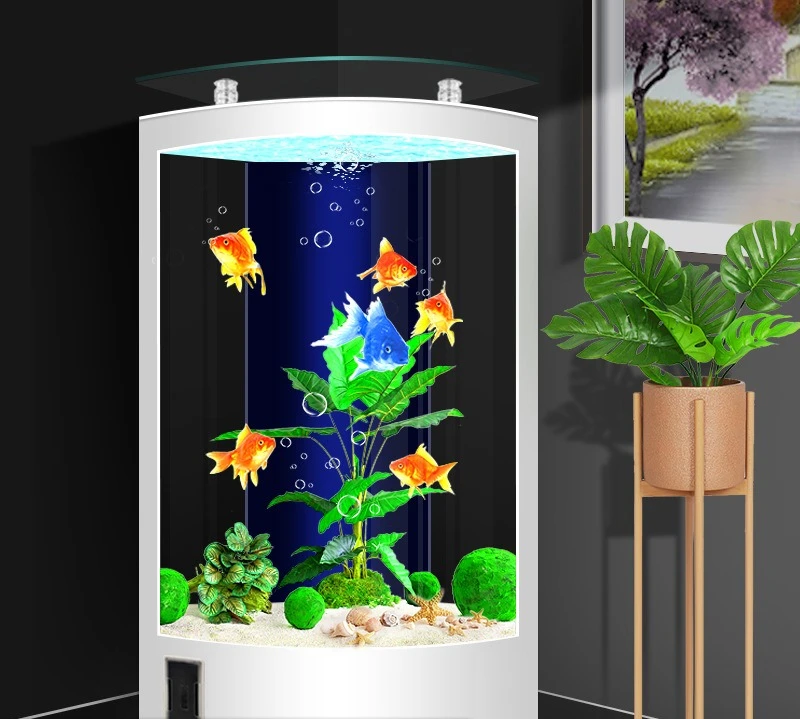 Living room fan-shaped floor-to-wall aquarium household back filter medium-sized golden fish tank free of water change
