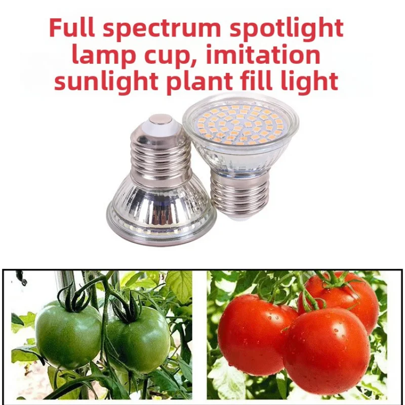 

Full Spectrum E27 Plant Grow Light 110V 220V - 48/60 LED Beads Red Blue Light