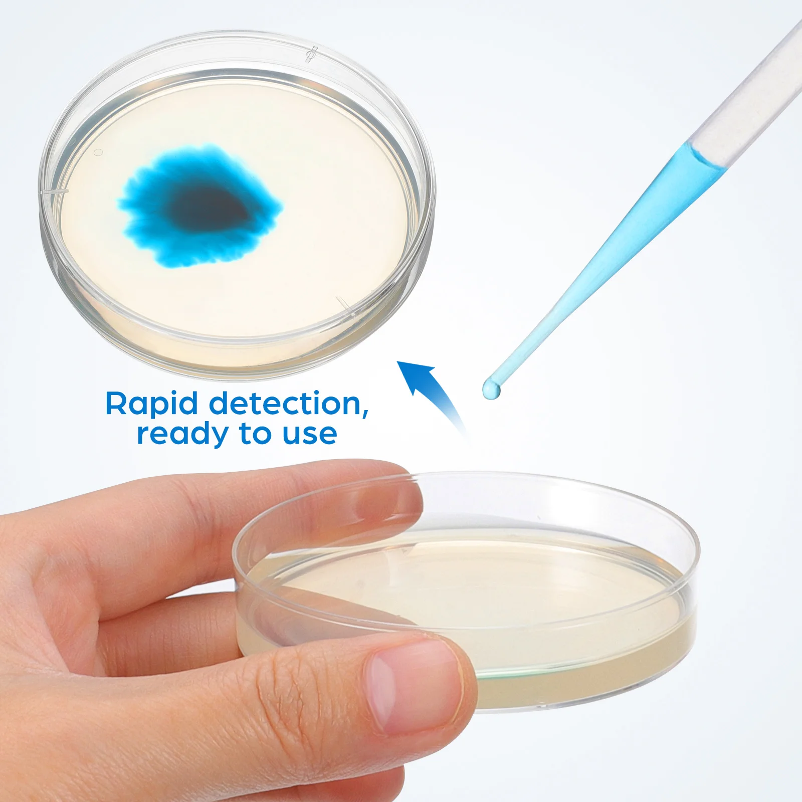 20 قطعة أطباق أجار المغذيات مسبقًا صغير الحجم تجربة علمية مختبر استخدام أطباق بتري مسبقة الصنع لمستلزمات المختبرات