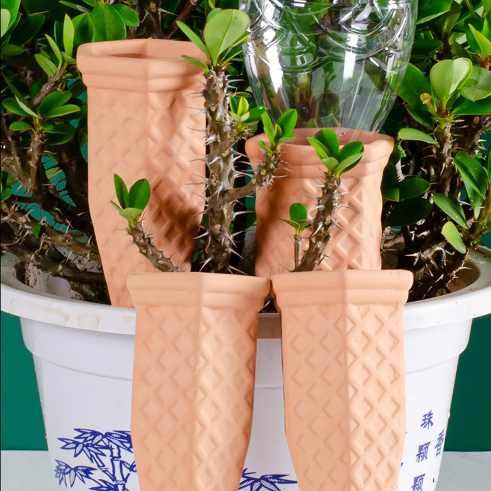 Watering Spikes for Outdoor Plants 6 Pieces Insert Terracotta Planter Self Plant Watering Spikes for Garden Porch Courtyard