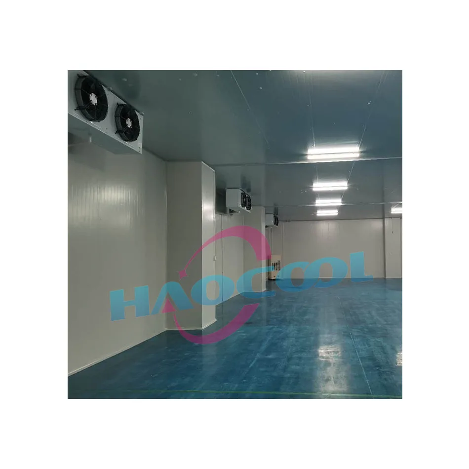 Attrezzatura industriale per celle frigorifere per celle frigorifere di qualità eccezionale