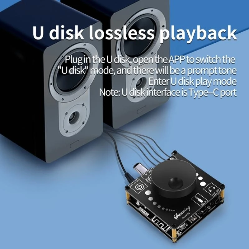 Stereo Bluetooth-совместимый 5.0 Power усилитель Poard Poard Mobile-Control App DC12V-24V Модуль цифрового усилителя высокой