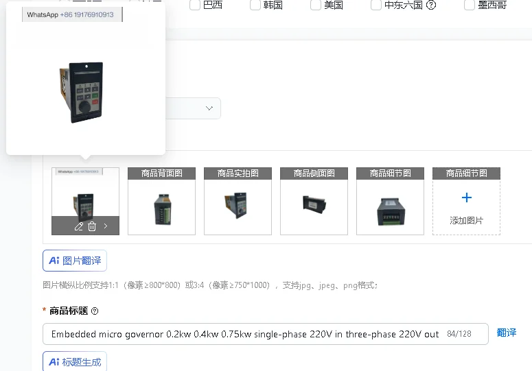 Single-Phase 220V to Three-Phase 220V Embedded Micro Governor with 0.2kw 0.4kw 0.75kw Power Options for Electrical Engineering