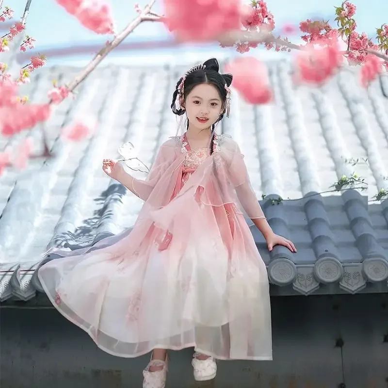 

Chinese Hanfu Dress Teenage Girls Fairy Cosplay Costume Summer Birthday Pink Dress Tang Dynasty Hanfu Costume For Girls 3-16Y