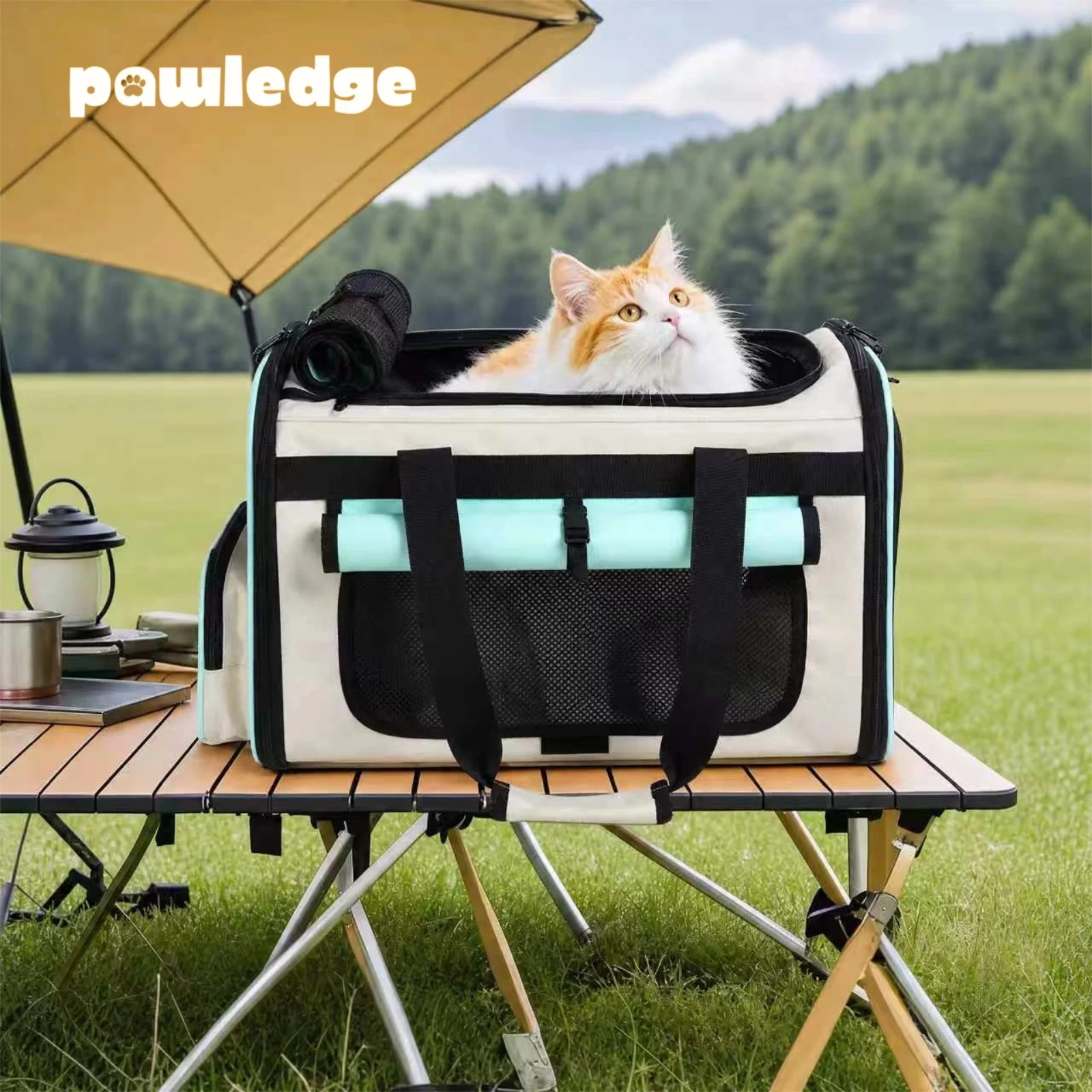 Soft-Sided Pet Carrier Tote for Cats Small Dogs, Breathable Travel Bag with Top Window, Side Entry and Roll-Up Shade
