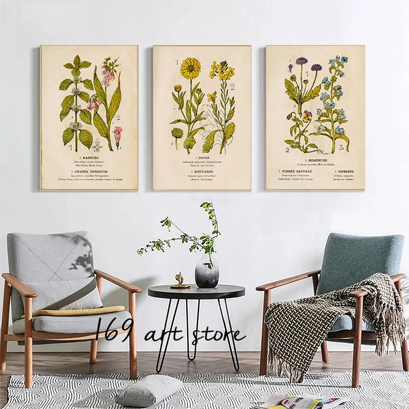 Vintage French Language Botanical Plant Species Peony Agrimony Mustard Art Poster Canvas Painting Wall Prints Picture Home Decor