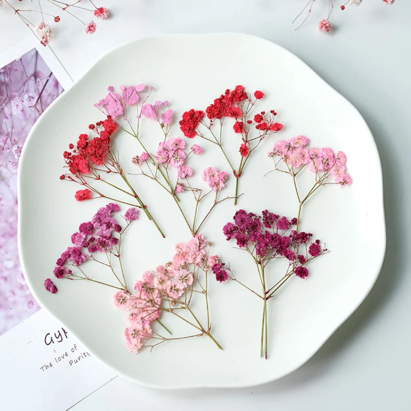 12pcs/5-8cm,New color pressed babysbreath dried flowers branches,DIY bookmarks table lamps nail art beauty cosmetics materials