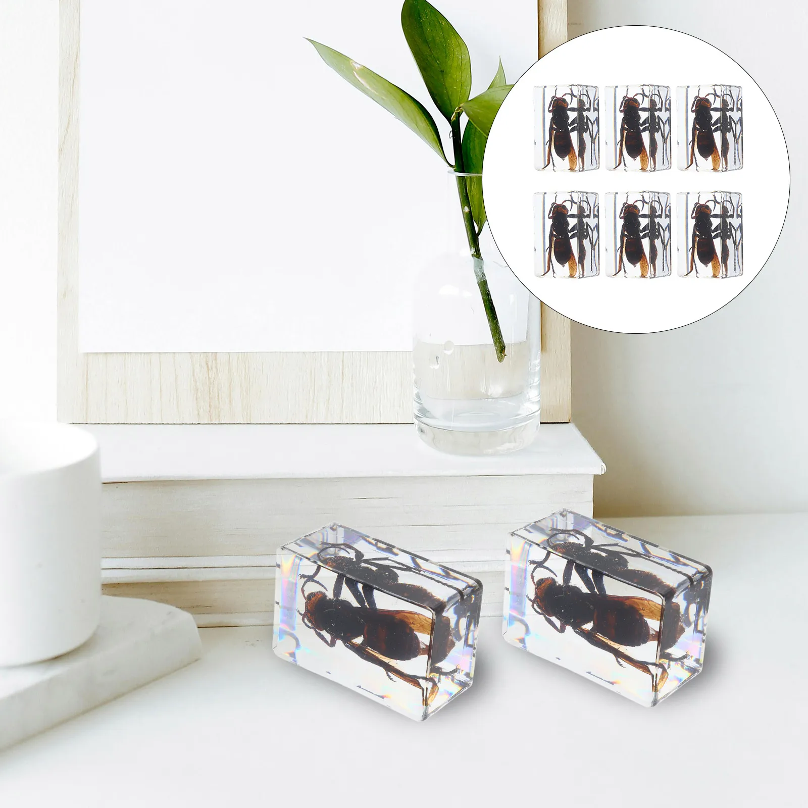 

6 Pcs Resin Insect Book Town Biology Science Education Animal Paperweights Mini Bugs Preserved Specimen Travel Figures for