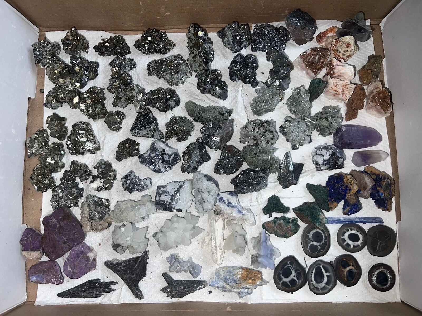 Mixed Freeform Mineral Specimen Pyrite Crystal Quartz Azurite Chrysocolla Flat