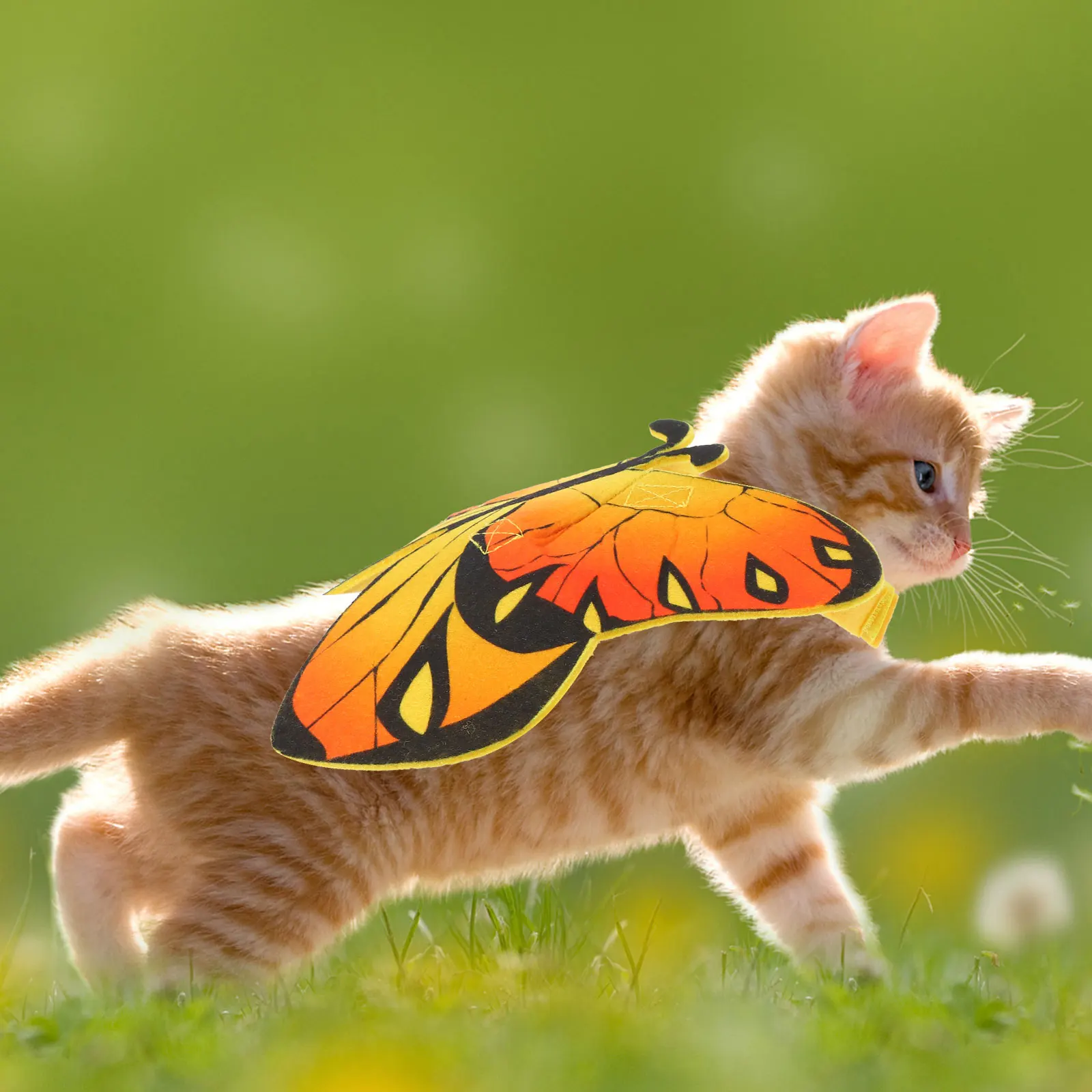 

Halloween Pet Butterfly Printed Clothing Dress Party Clothes Felt Breed Costume