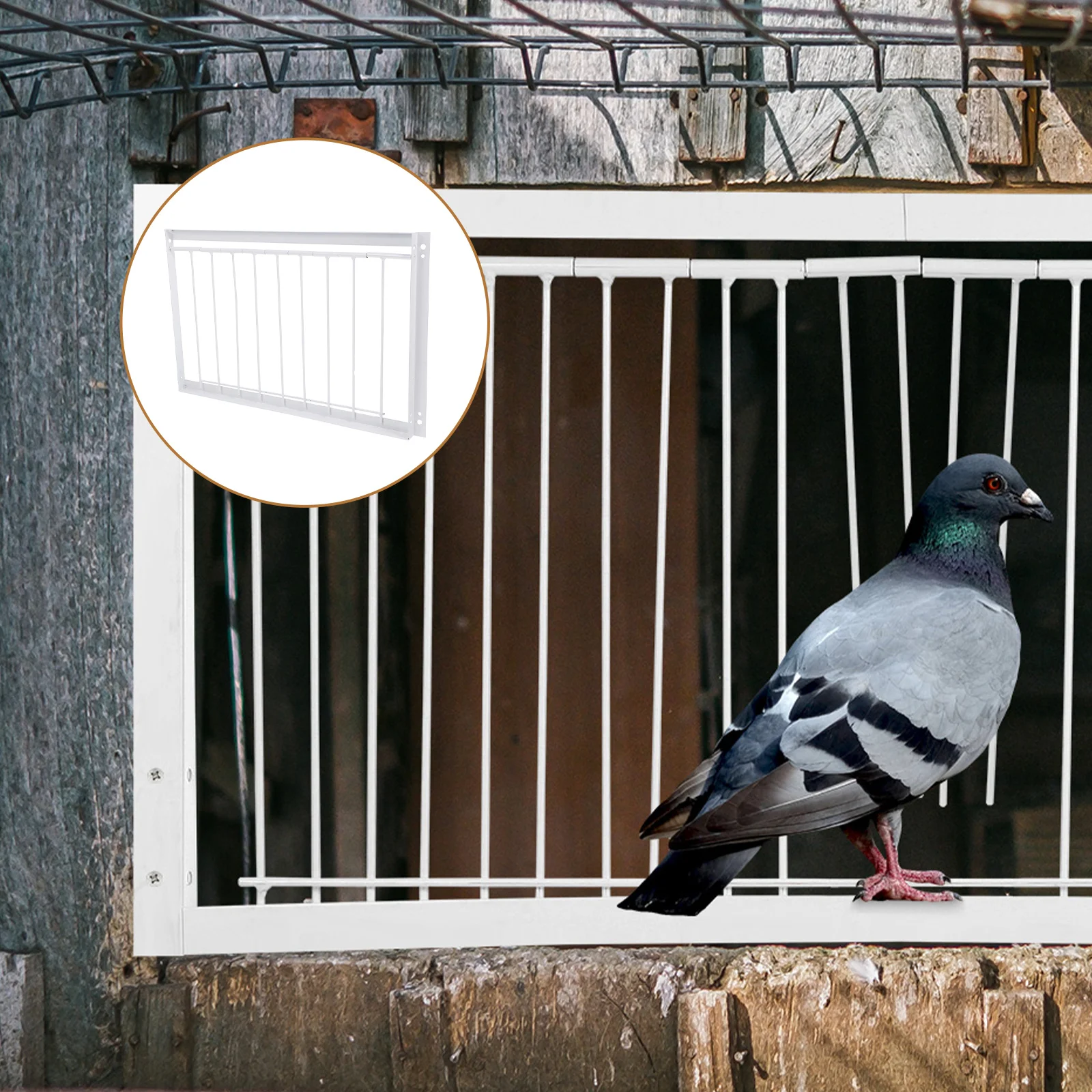 

1Pcs Pigeon Cage Door Beautiful Appearance Durable Iron Material Easy Install Pigeon House Door Bird Entrance Supply