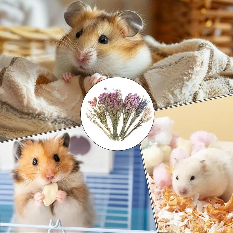 Nature Flower Herb Hamster Bedding Decor Hamster Habitat Decor Hamster Cage Supplies For Hamsters Gerbils Rabbit Other Small Pet