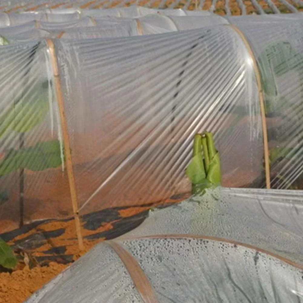 3*4/6/10m Transparent Vegetable Greenhouse Agricultural Cultivation Plastic Cover Film Waterproof Anti-UV Protect Plant