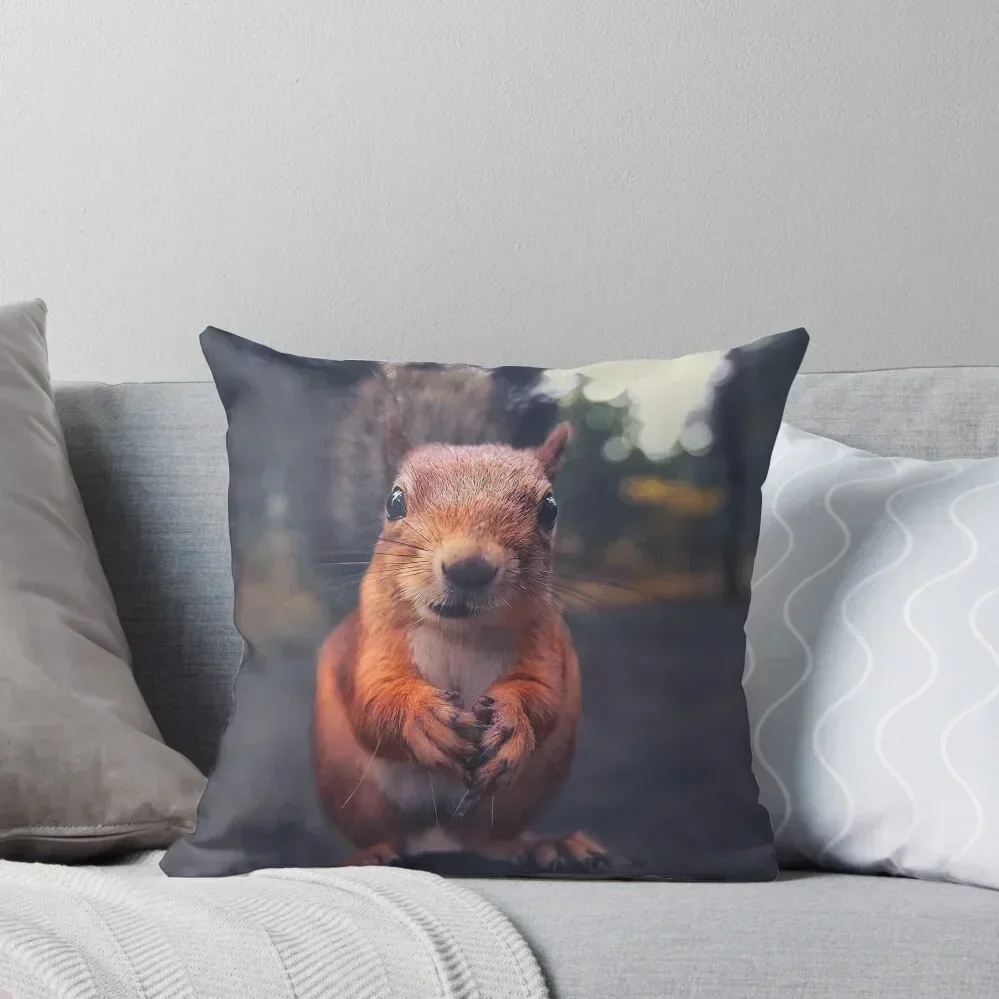 

Cute Squirrel Throw Pillow Couch Pillows Sofa Pillow Cover luxury decor Ornamental Pillow