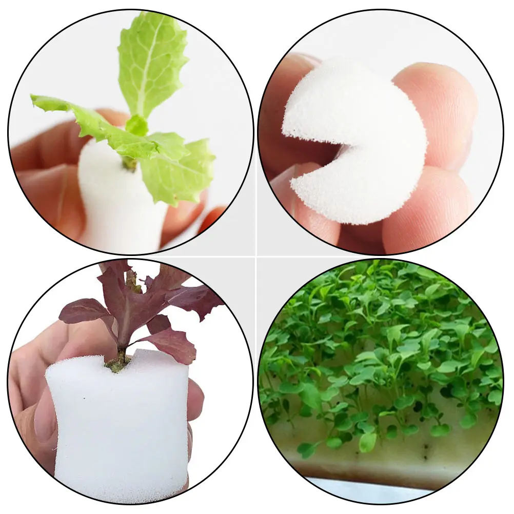 

120 Pcs Hydroponic Sponge Soilless Cultivation Gardening Tools Seedling Pots Vegetable Plants Decorative Garden Equipment