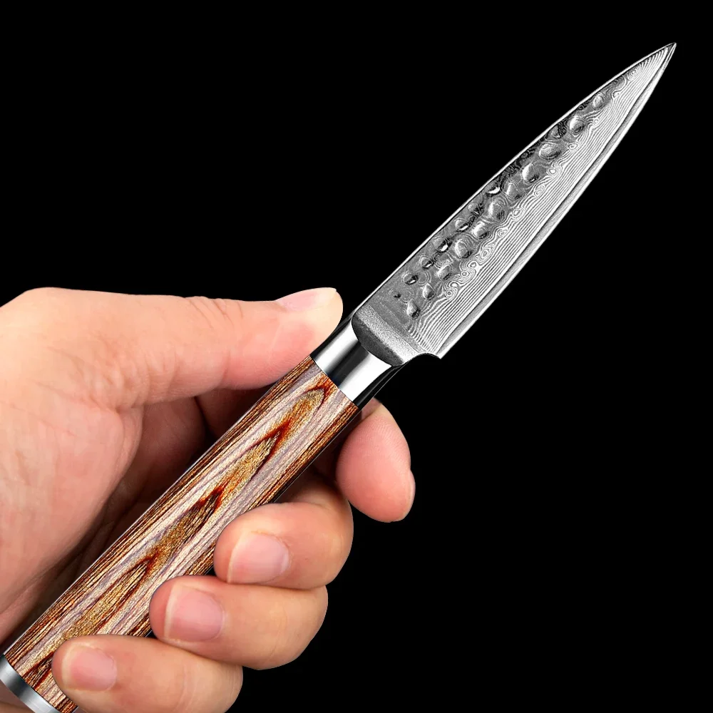 

XITUO Damascus Paring Knife Ultra-sharp Utility Knives Japanese VG10 Steel Core Peeling Knife with Wood Handle Fruit Knife