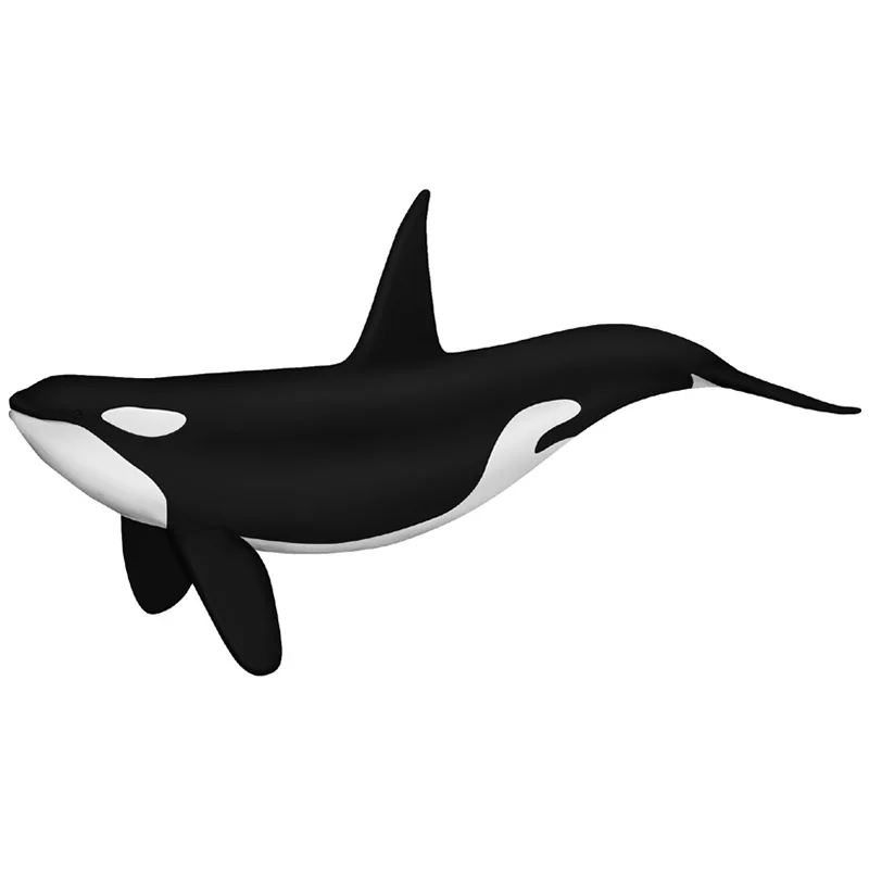 4d-vision-orca-anatomy-model-ocean-animal-whale-puzzle-assembling-model-educational-kids-toy