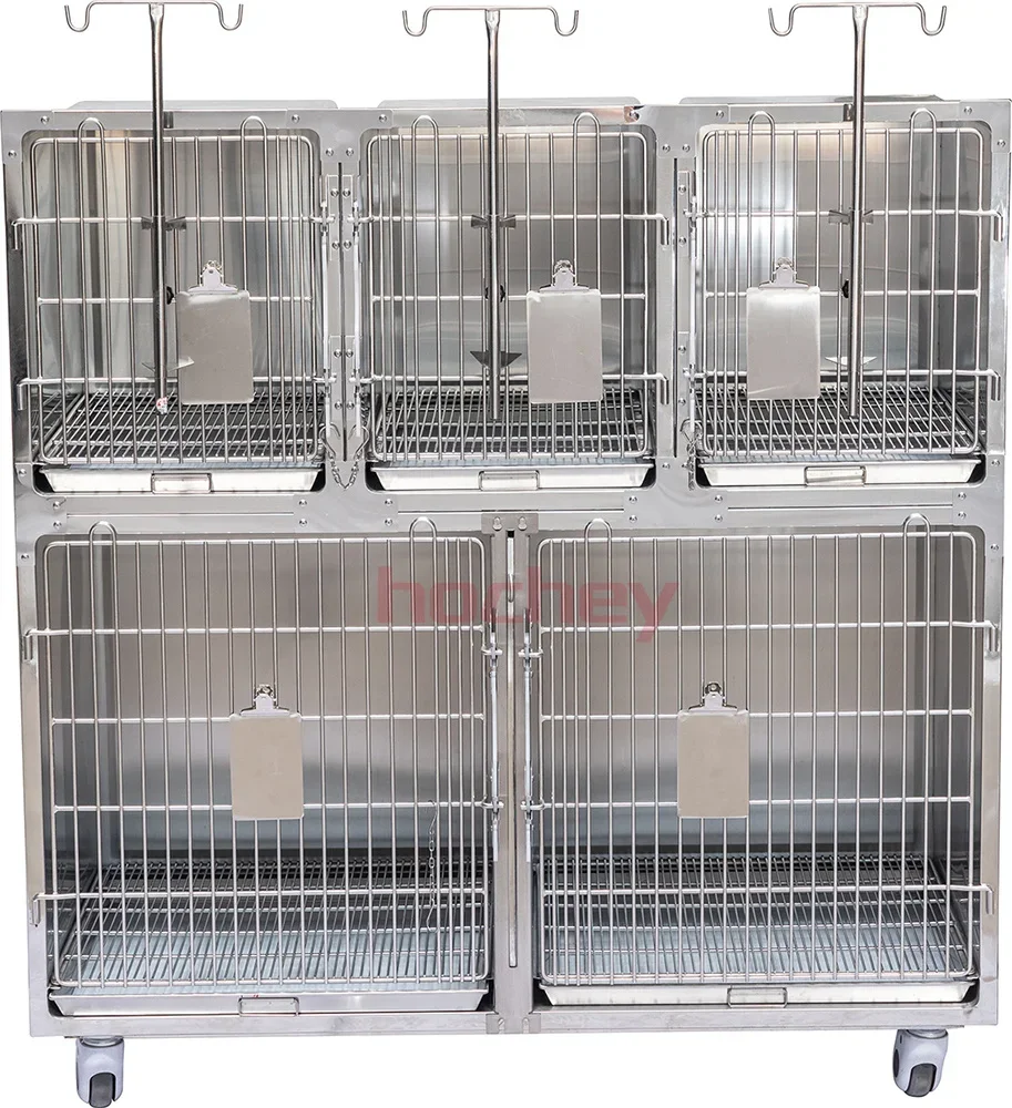 Customizable Five-Compartment Stainless Steel Pet Cage For Forster Care And Veterinary Instrument Support