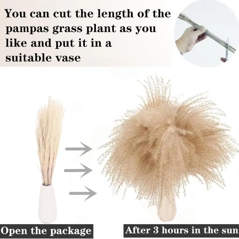 118 Chiếc Bó Hoa Khô Tự Nhiên Bohemian Trang Trí Đám Cưới Thủ Công Pampas Cỏ Sắp Xếp B03E