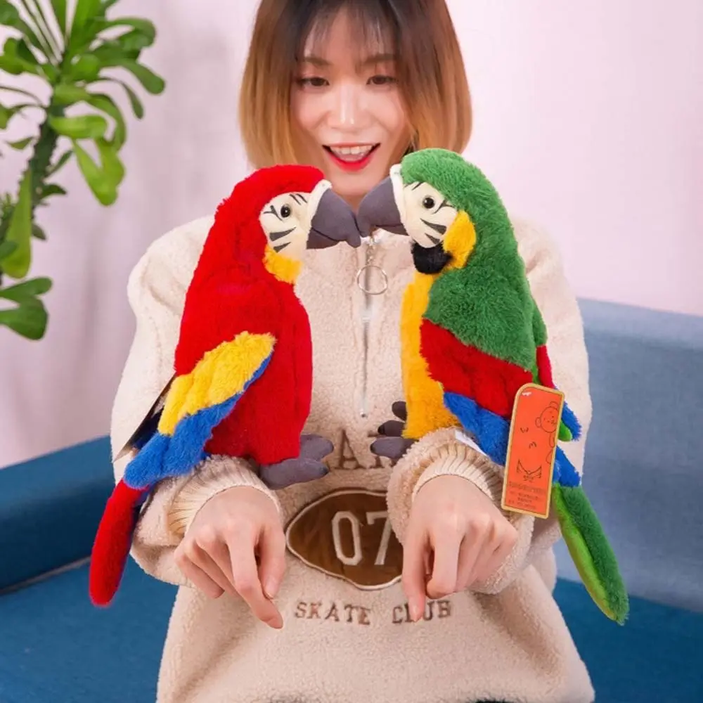 Kussen Veren Beeldje Papegaai Wild Dier Gevuld Papegaai Simulatie Gevuld