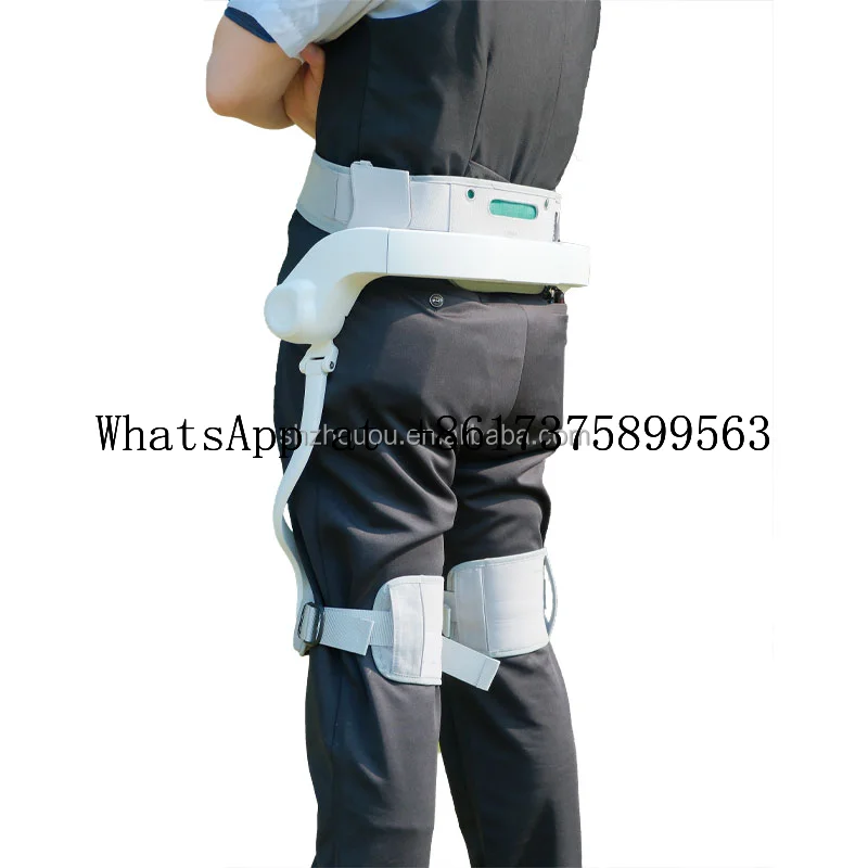 Intelligent  Joint Robotic Exosuit for Daily Walking Support