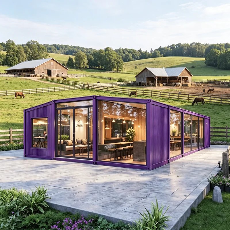 20ft Foldable Prefab Container House Single‑Story Tiny Villa Windproof Insulated Modular Home For Family Daily Residential Use