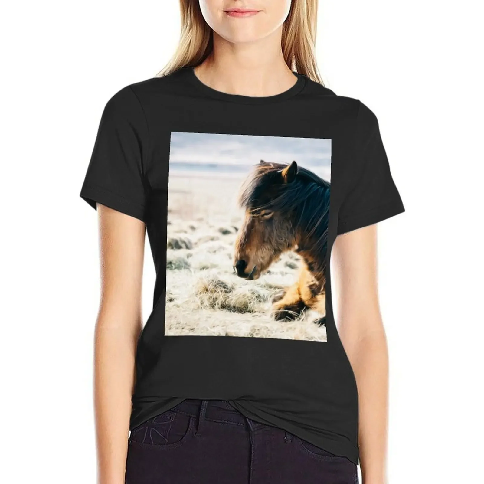 

Grass Outdoor Sunny Day Horse Animal T-Shirt vintage new edition kawaii clothes Female clothing t shirts for Women