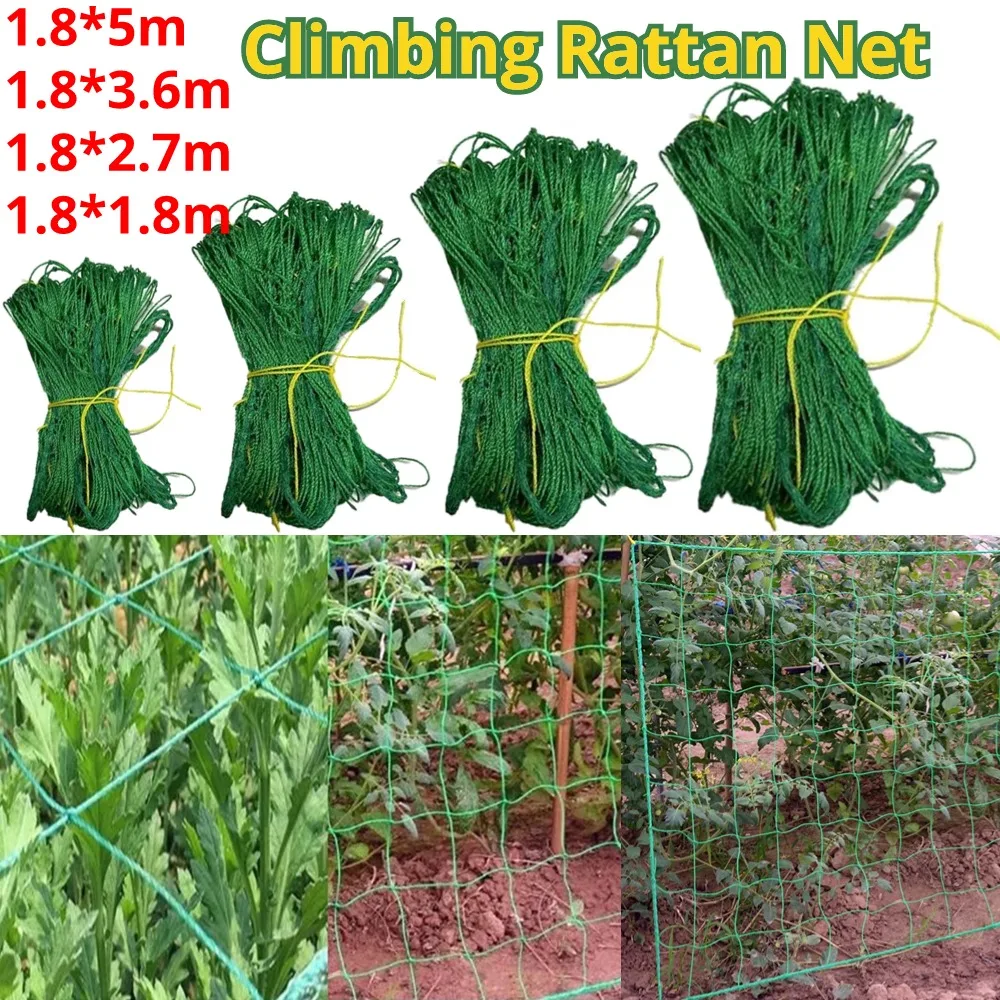 Multifunctional Climbing Rattan Net Green Gardening Lattice Net Wear-resistant Rattan Stand Net Heat-resistance for Grapes Beans