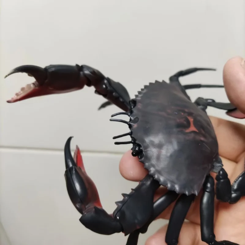 

Bandai Realistic Movable Crab Figurine 140mm Overall Size 30 Movable Joints Assembly Capsule Toy Desktop Collectible Decoration