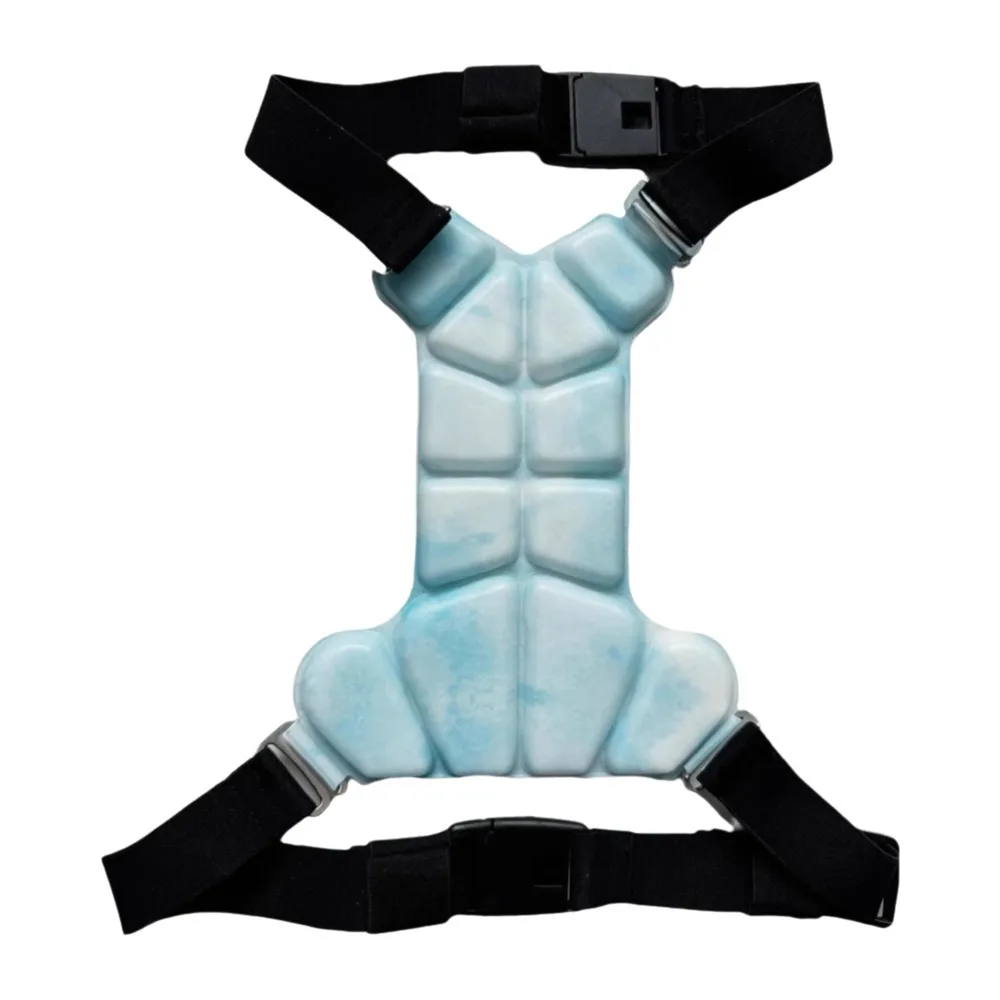 PCM Technology Pet Cooling Vest Breathable Padded Design Dog Cooling Harness Reflective Stripes Physical Cooling Pet Ice Vest